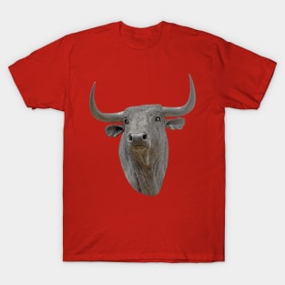 Bull Statue in Spain T-Shirt